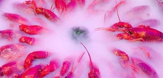 如何選擇山西高純氣體管道配管及附件材料？